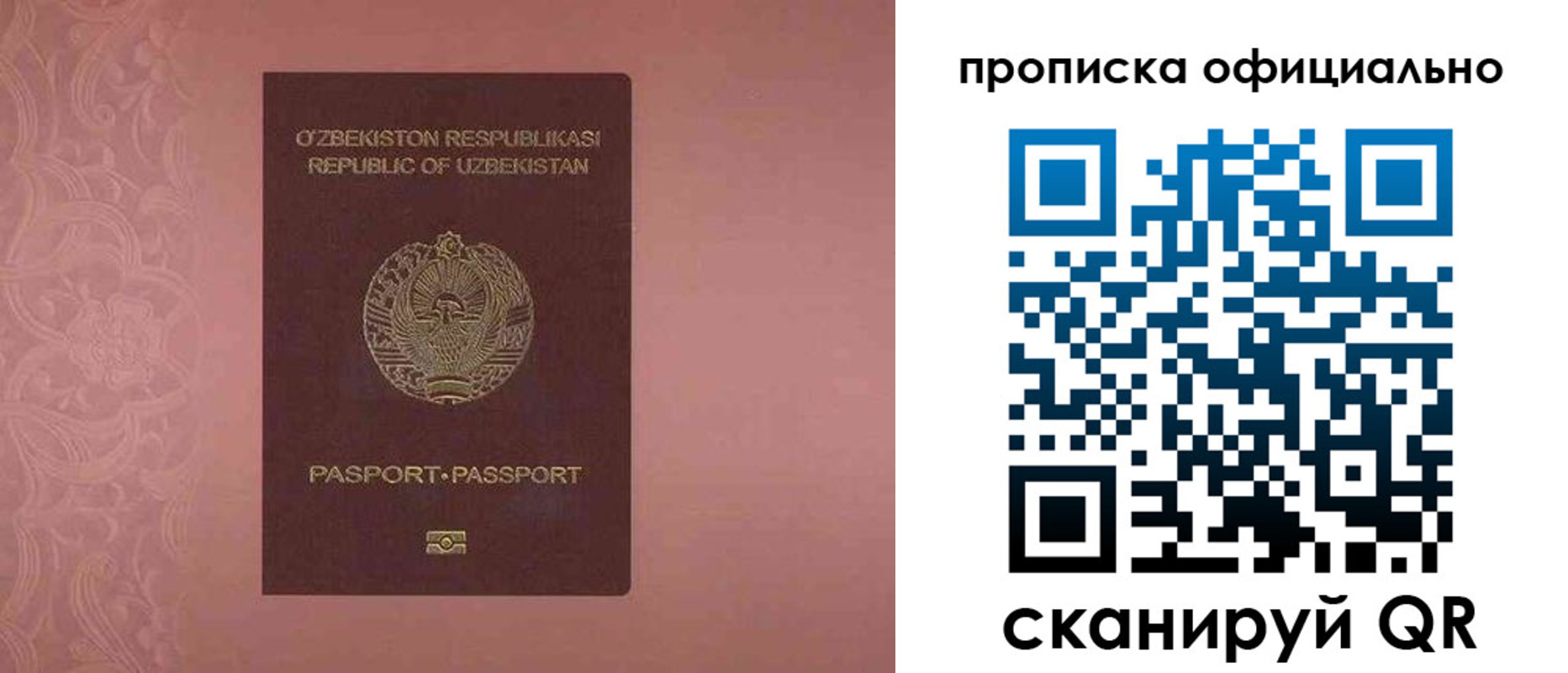 прописка гарантия в Хабаровском крае